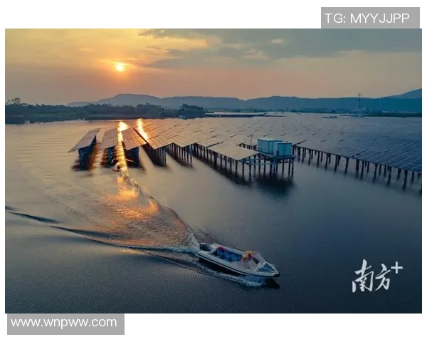 PEL领域收割新机遇探索与发展趋势分析